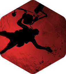 在线接收短信验证码